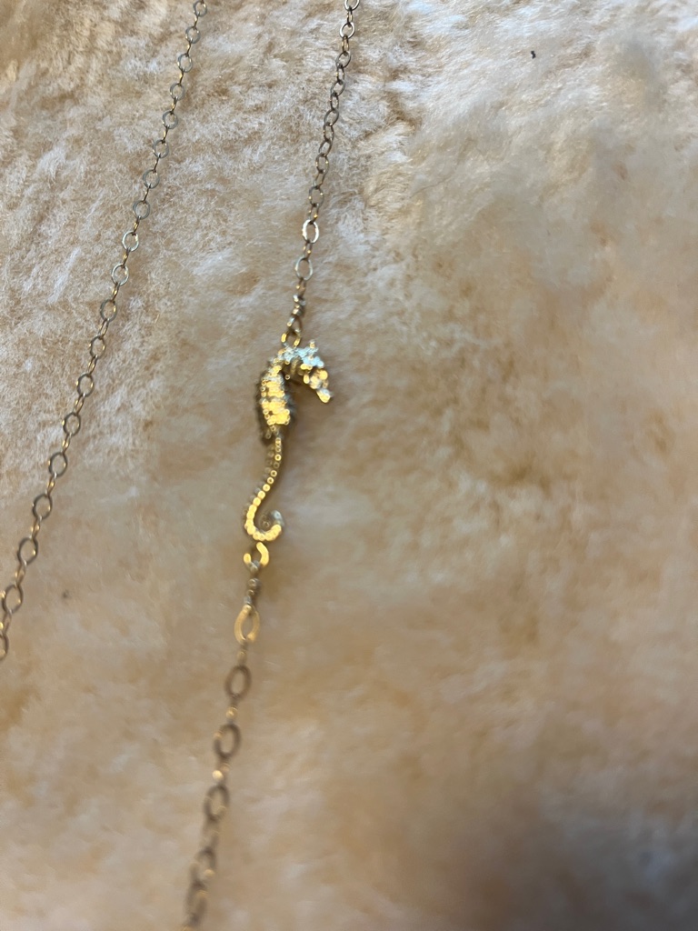 Delicate Seahorse Pendant Necklace On Adjustable Link. 24”-26” In Length.